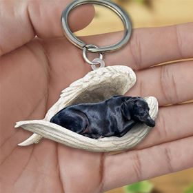 Creative Fashion Cute Dog-shaped Acrylic Keychain (Color: 9style)