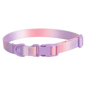 Large Anti-rust Gradient In Dog Collar (Option: Purple Pink-M)